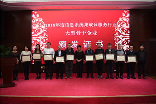 南瑞集团荣获信息系统集成及服务行业大型骨干企业称号